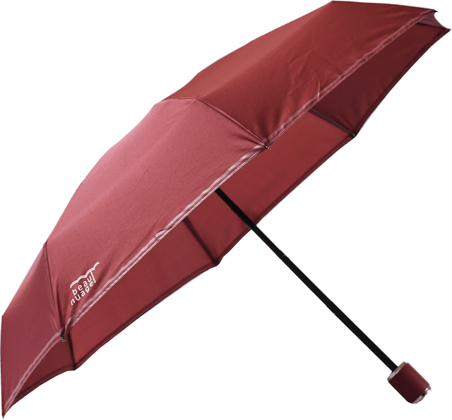 Parapluie pliant L'Original Rouge Grenat Beau Nuage